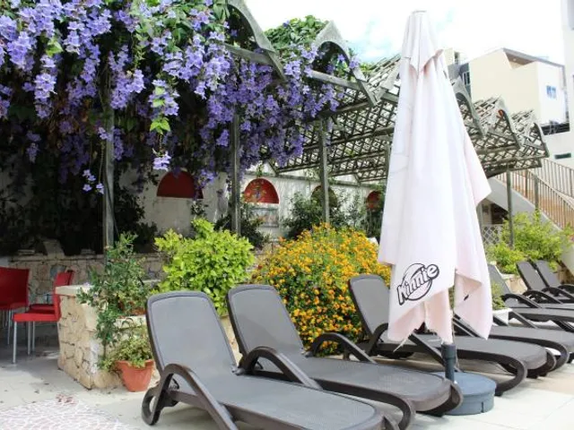 The San Anton Hotel