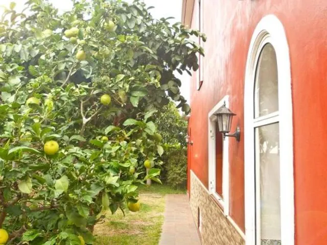 Casa Buganvilla