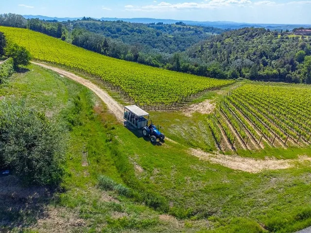 Tenuta Castellare di Tonda