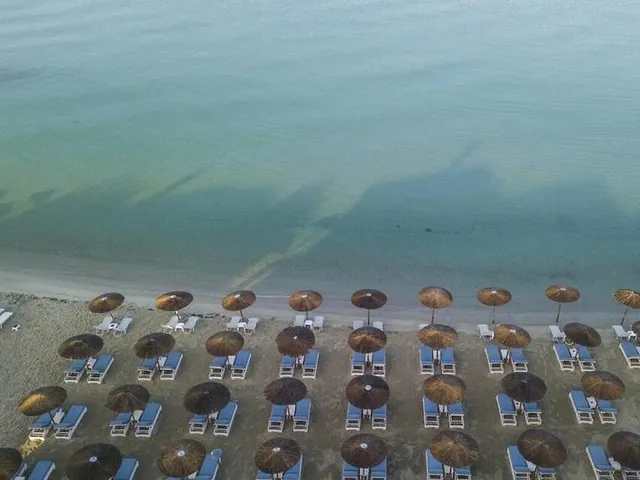Alkioni By The Sea