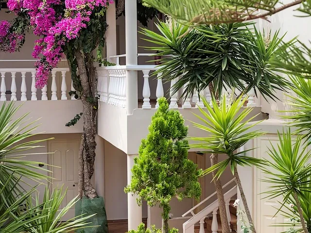 Elotis Suites