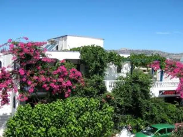 Rosmari