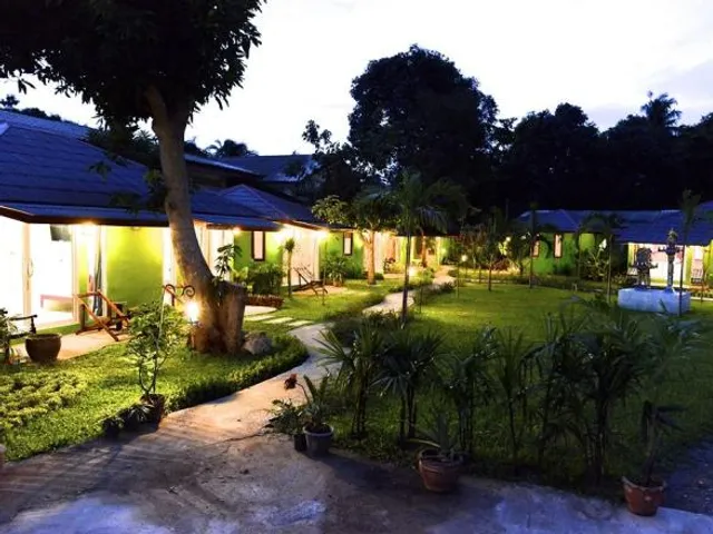 Avocado Koh Samui