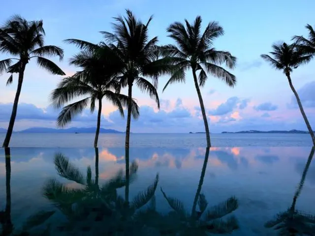 Celes Samui