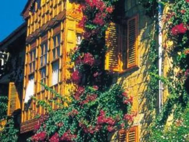 Begonville Pansiyon