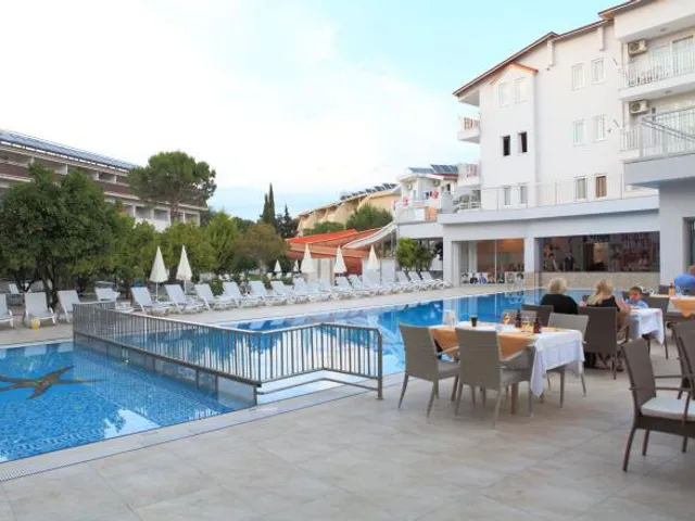 Catty Cats Garden Hotel