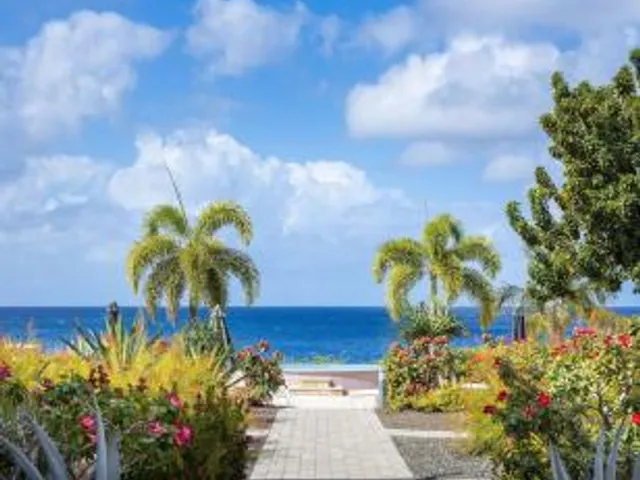 Coral Estate Luxury Resort
