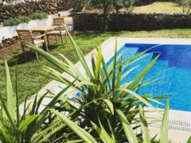 Olio La Palma