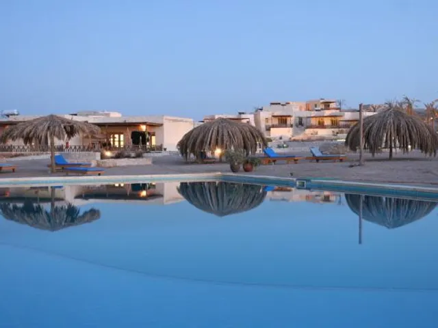 The Oasis