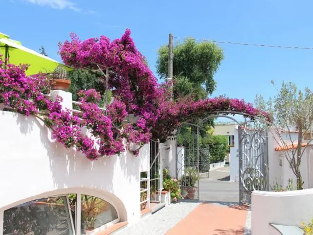 Hotel Villa Cecilia