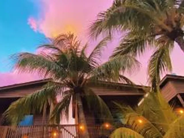 Coconut by ÓOL Hotels