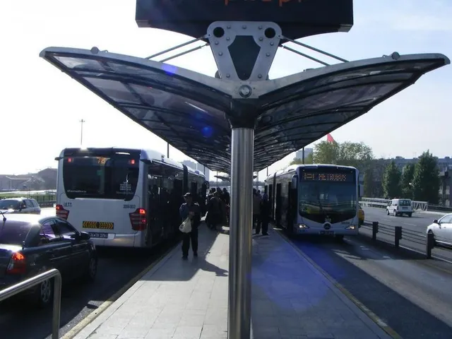 Istanbul Dedem