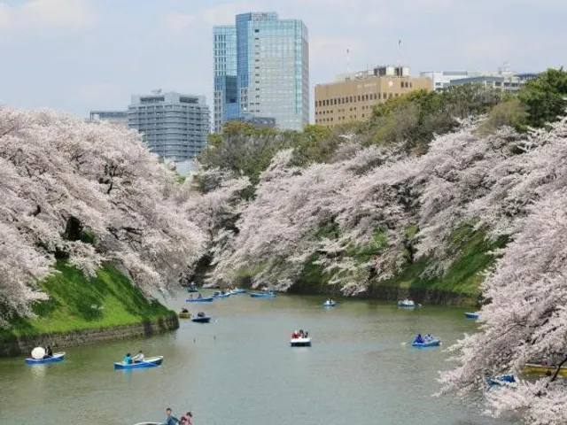 Monterey Akasaka