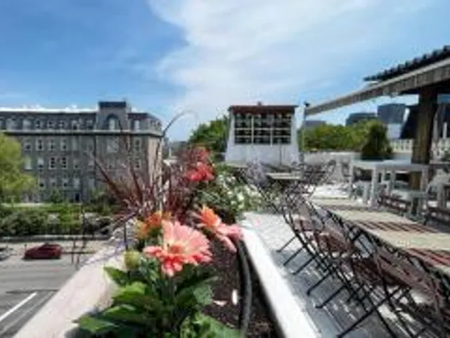 Gîte du Plateau Mont-Royal
