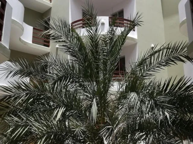 Cala da Lua apartments