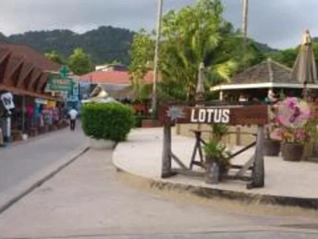 Lotus Mountain View
