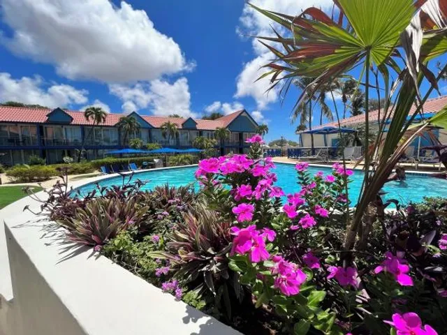 Divi Flamingo Beach Resort & Casino