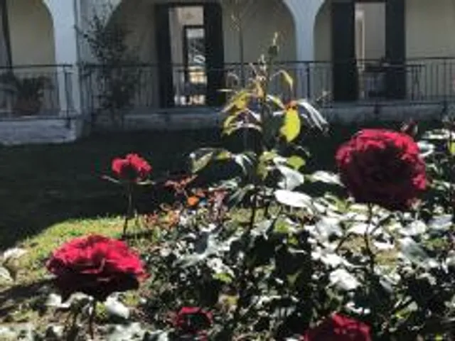 La Casa De Dalia
