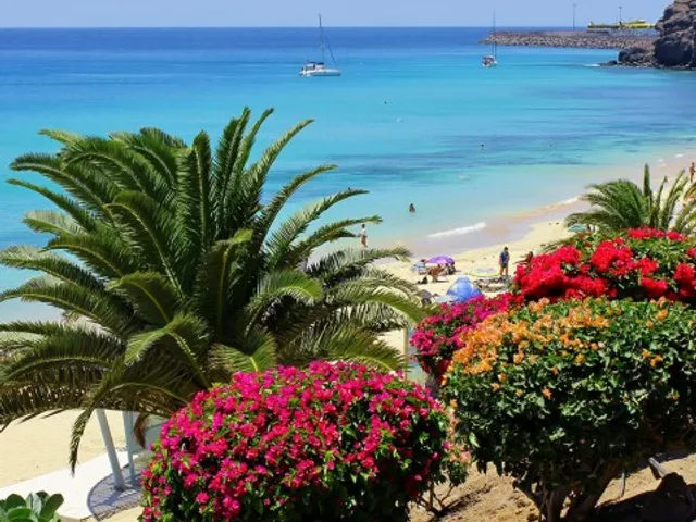 allsun App.-Hotel Barlovento