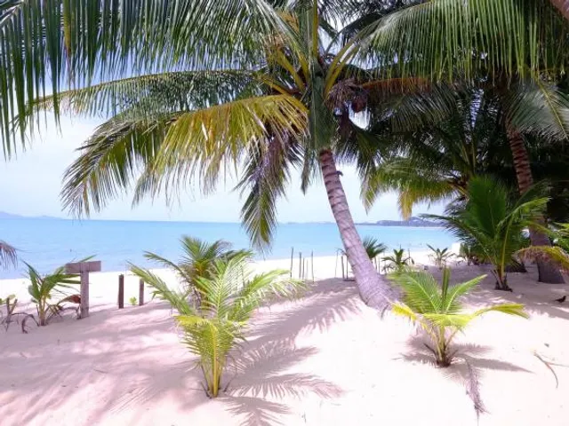 Lolita Bungalows