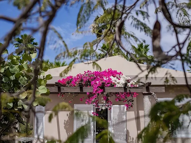 Caybeach Princess
