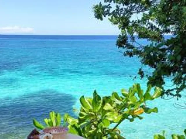 Blue Raven Resort