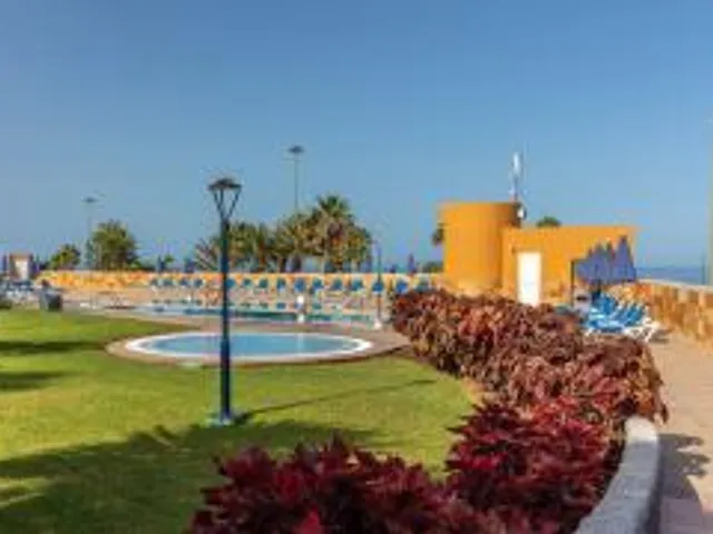 Apartamentos Amadores Beach
