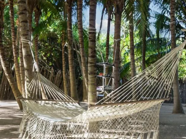 Hotel El Dorado Seaside Palms
