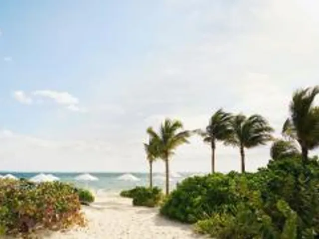 SLS Playa Mujeres