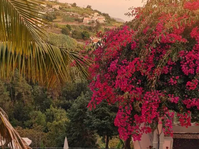 Villa Alto Boutique Hotel