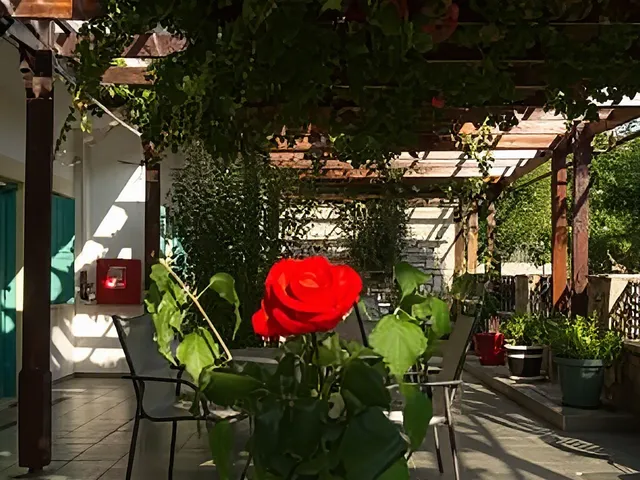 Dimitris Resort Hotel