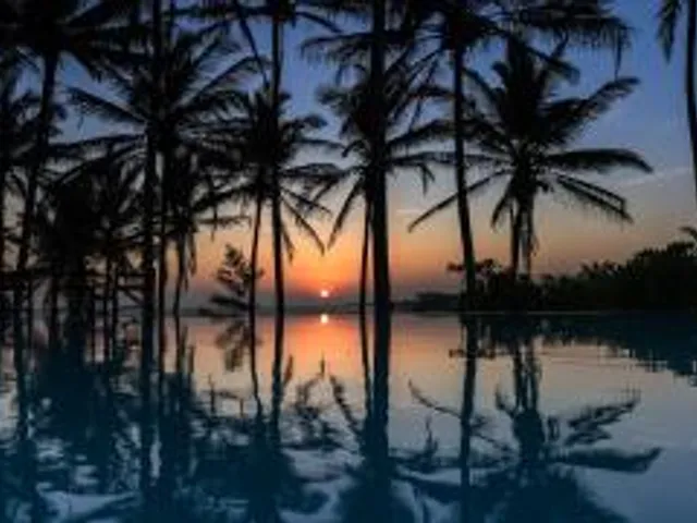 Turtle Bay