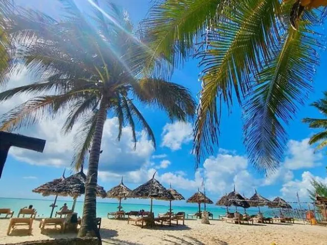 Mambo Ocean Resort