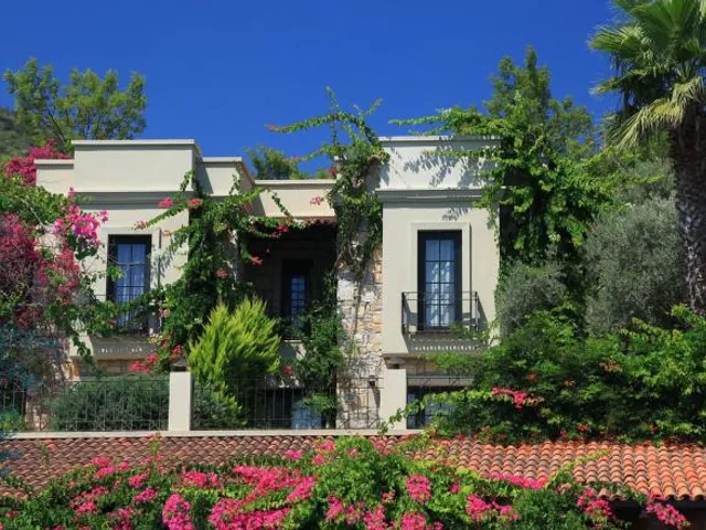 Zeytinada