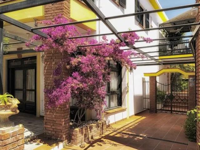 Elia Apartments