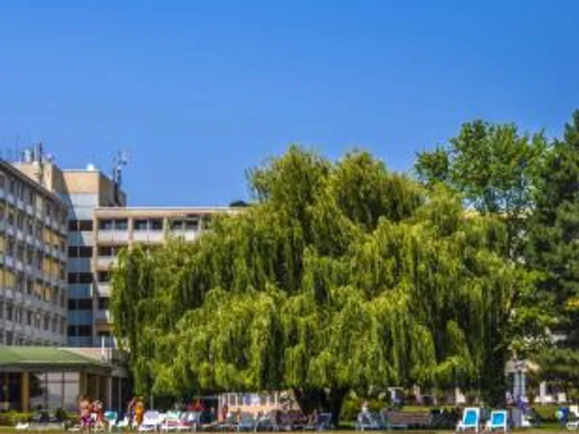 Club Tihany Hotel