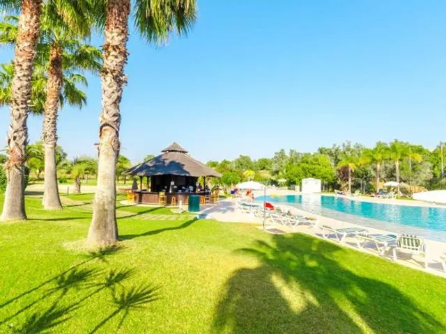 The Navigator - Palm Oasis Alvor