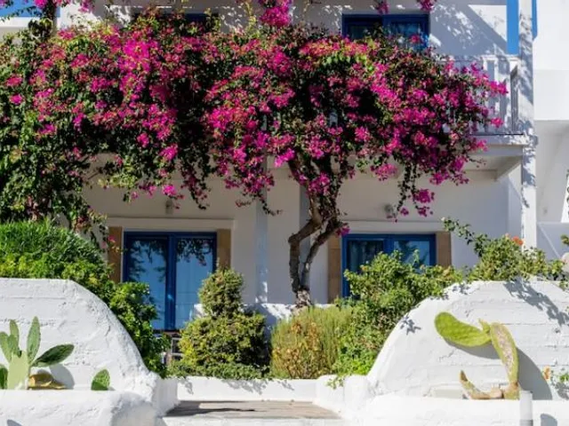 Lindos Sun
